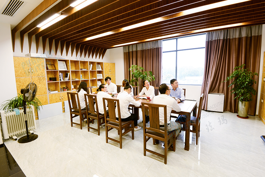 Company Meeting Room